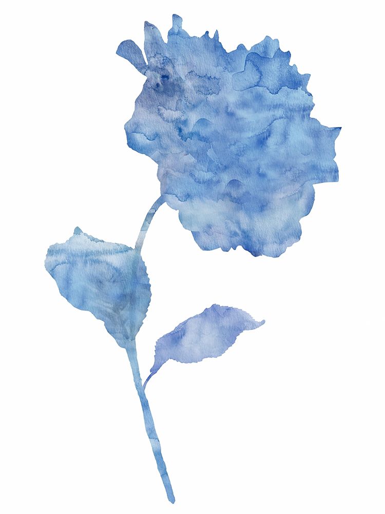 Azure Hydrangea II art print by Chamira Young for $57.95 CAD