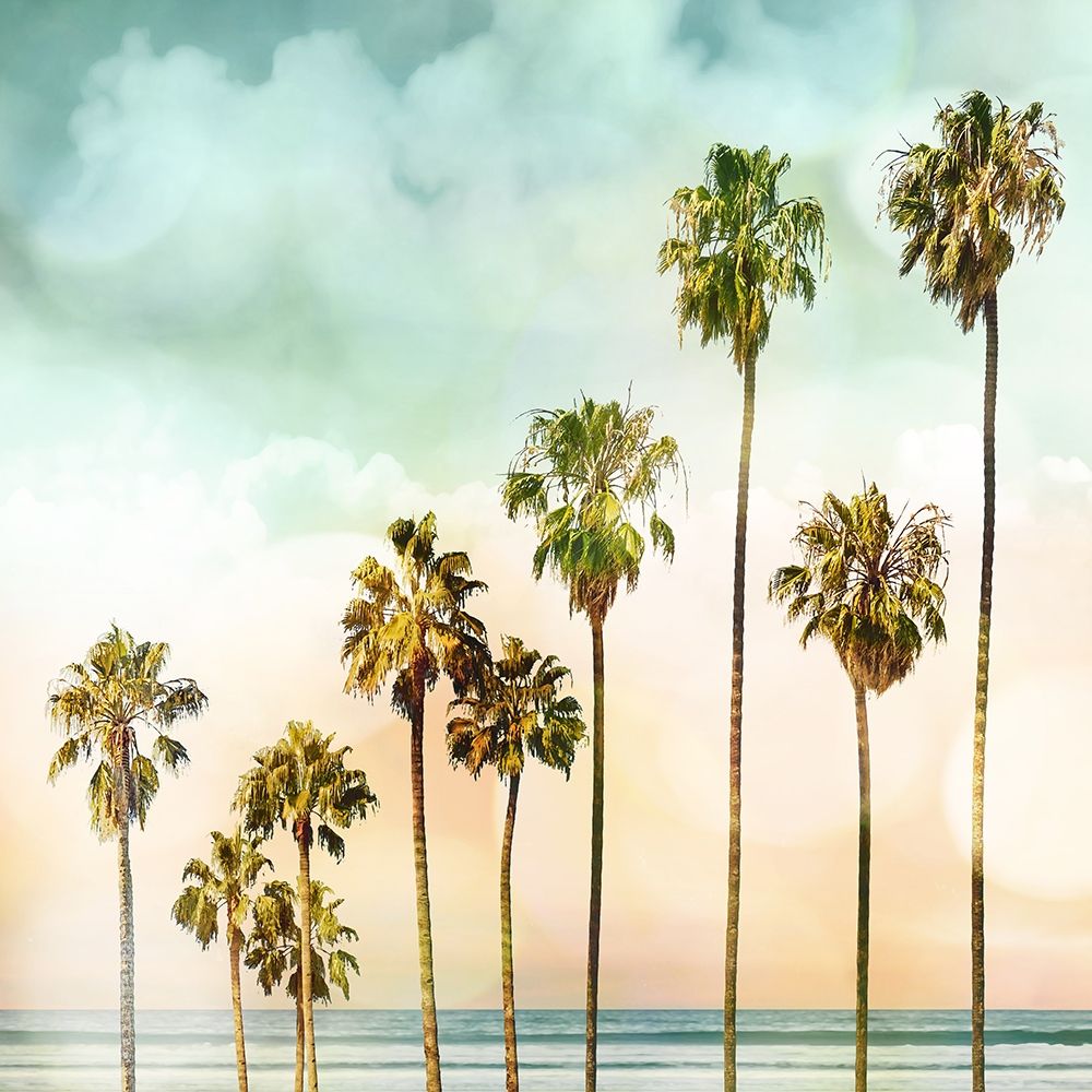 Beach Palms I art print by Devon Davis for $57.95 CAD