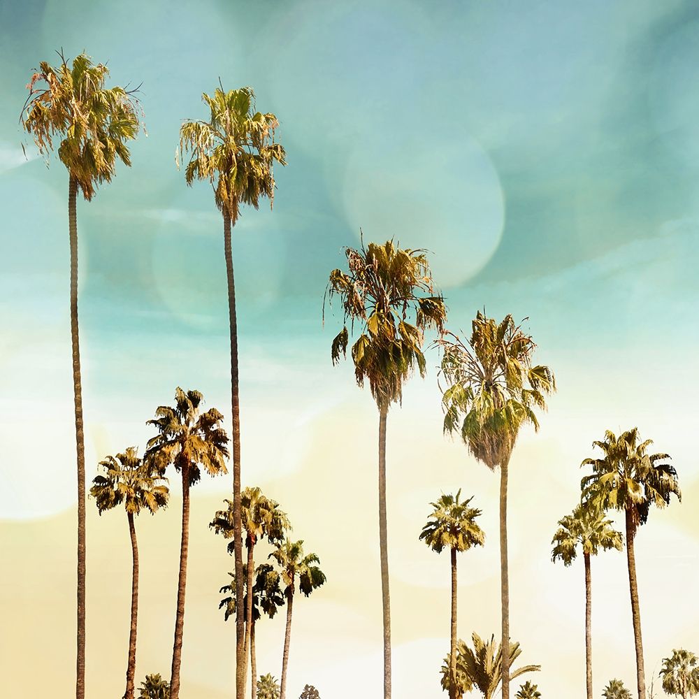 Beach Palms II art print by Devon Davis for $57.95 CAD
