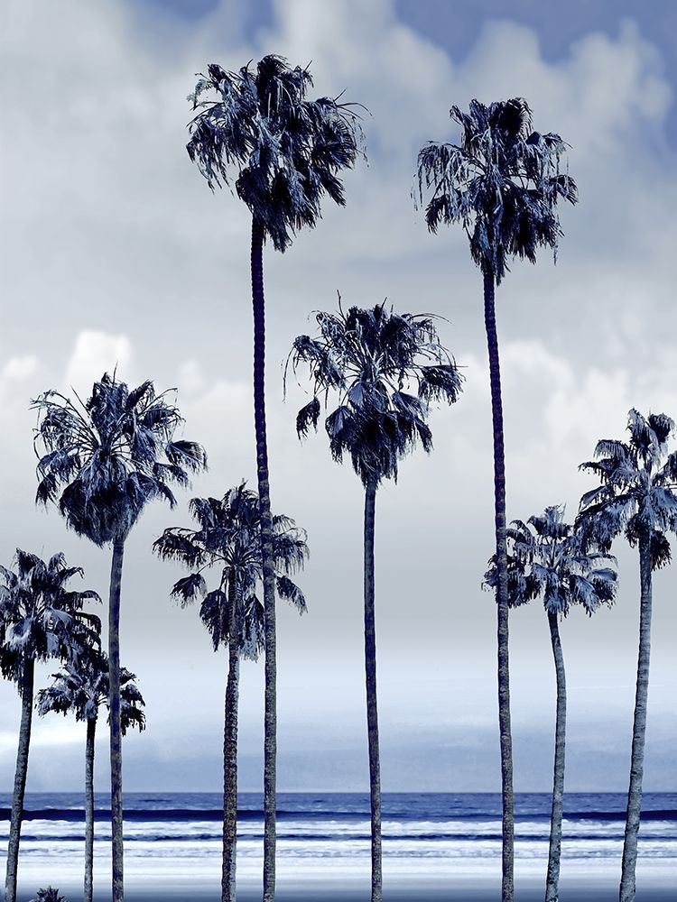Beach Palms Indigo II art print by Devon Davis for $57.95 CAD