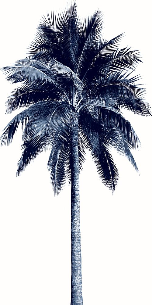 Palm Tree Blue I art print by Madeline Blake for $57.95 CAD
