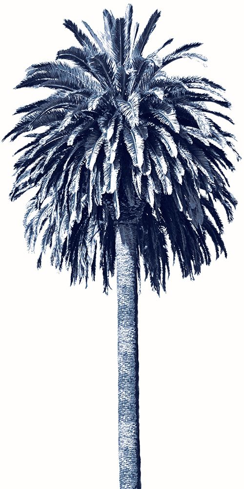 Palm Tree Blue II art print by Madeline Blake for $57.95 CAD