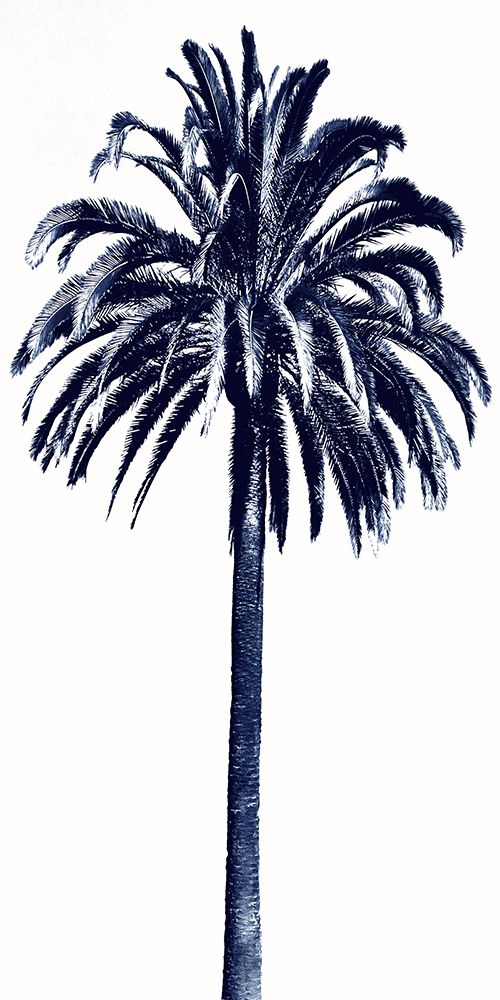 Palm Tree Blue III art print by Madeline Blake for $57.95 CAD