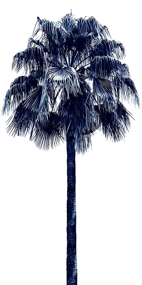 Palm Tree Blue IV art print by Madeline Blake for $57.95 CAD