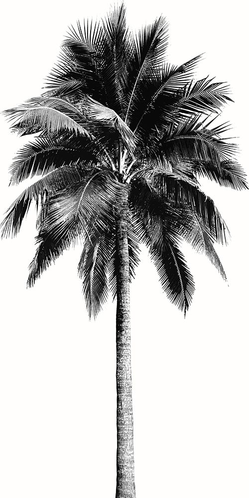 Palm Tree I art print by Madeline Blake for $57.95 CAD