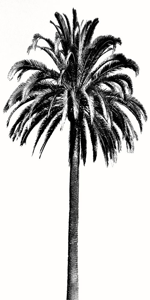 Palm Tree III art print by Madeline Blake for $57.95 CAD
