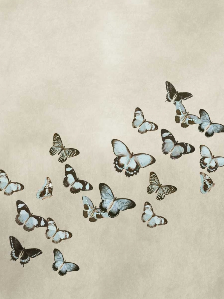 Spring Flight I art print by Deborah Devellier for $57.95 CAD