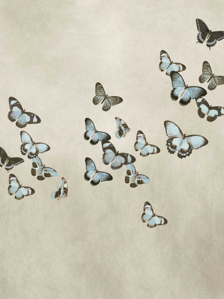 Spring Flight II art print by Deborah Devellier for $57.95 CAD