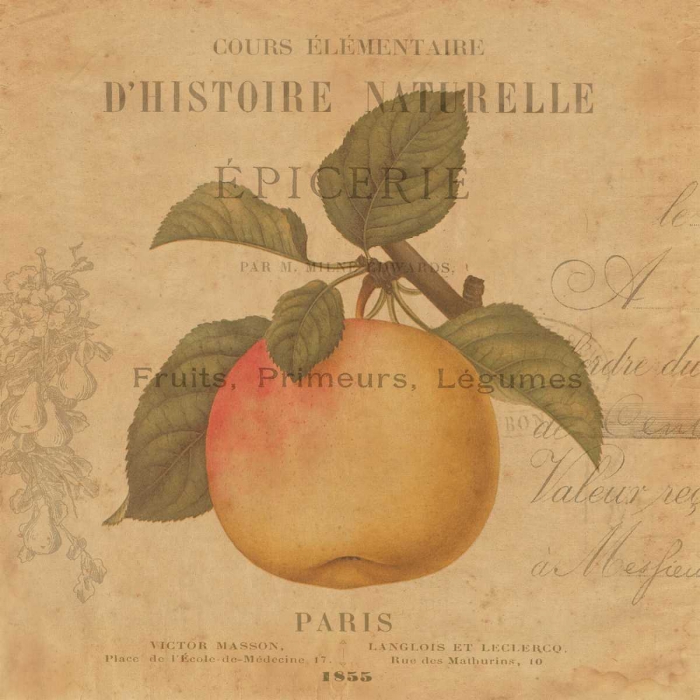 Pomme art print by Deborah Devellier for $57.95 CAD