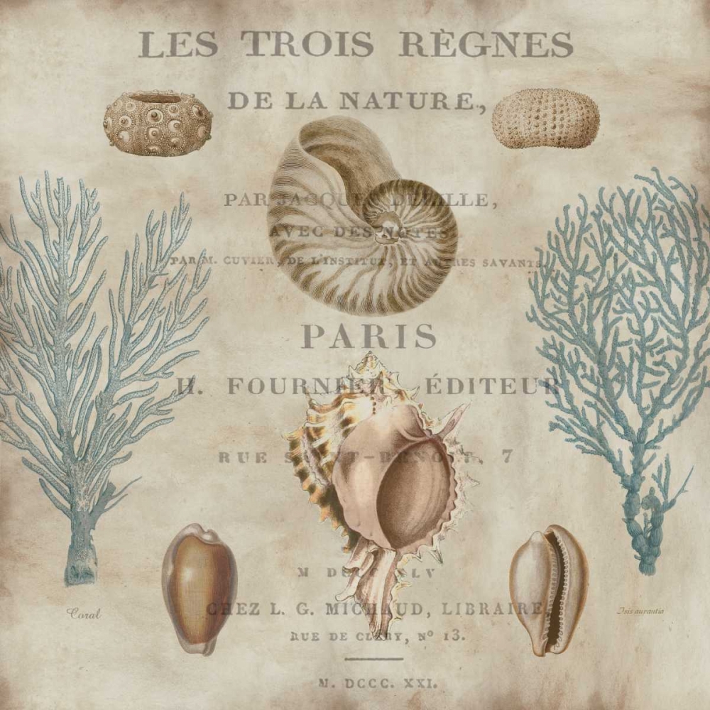Le Mer II art print by Deborah Devellier for $57.95 CAD