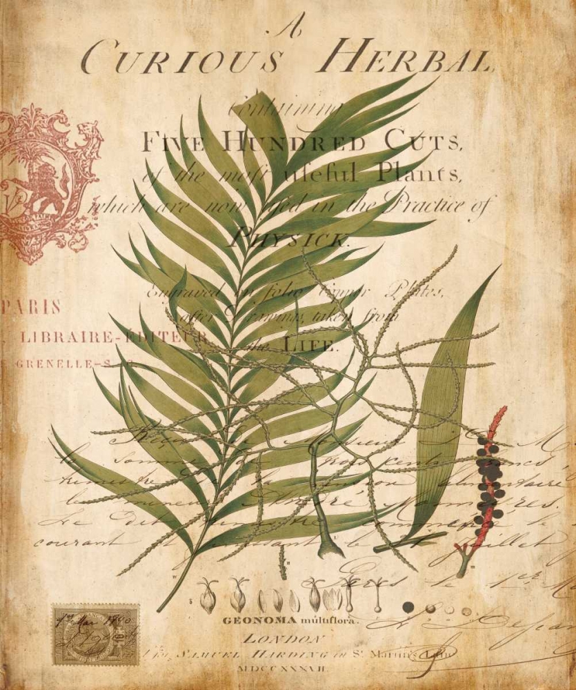 Palm Study I art print by Deborah Devellier for $57.95 CAD