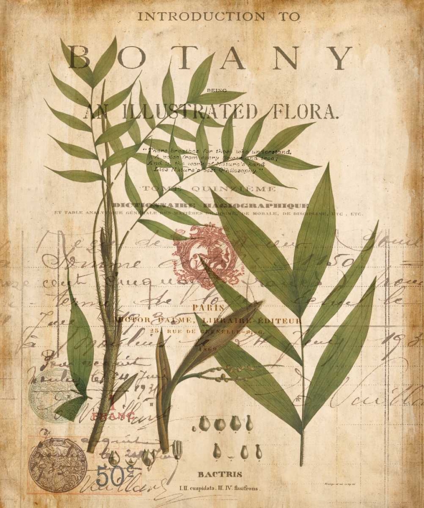 Palm Study II art print by Deborah Devellier for $57.95 CAD