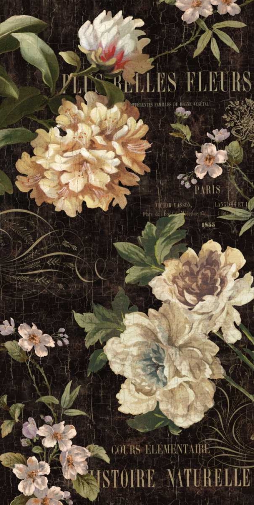 Fleurs Antique II art print by Deborah Devellier for $57.95 CAD