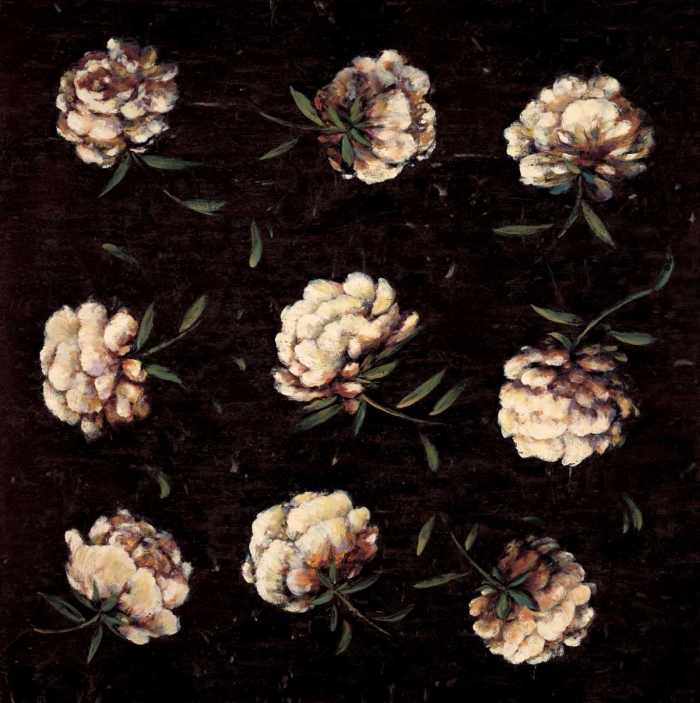 A Study in White art print by Diane Harper for $57.95 CAD