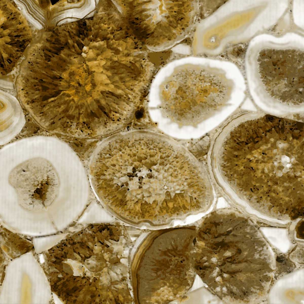 Agate in Gold II art print by Danielle Carson for $57.95 CAD