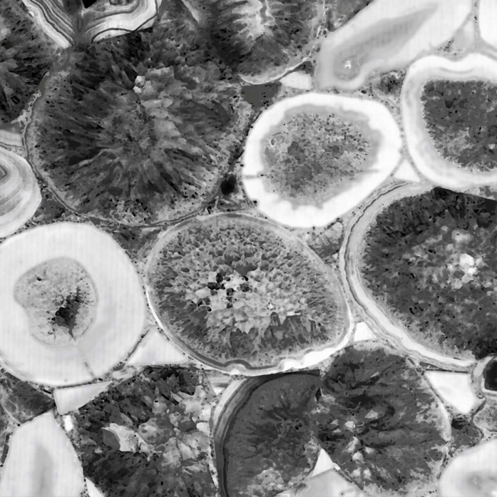 Agate in Grey II art print by Danielle Carson for $57.95 CAD