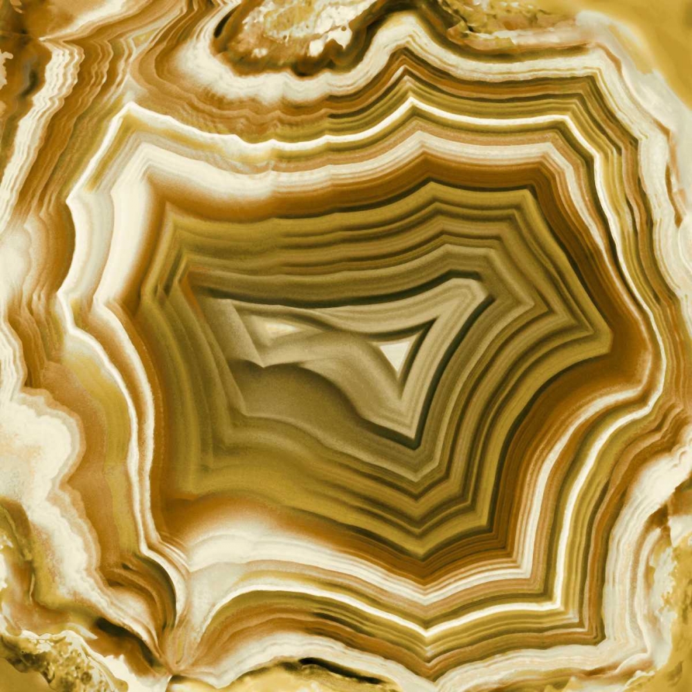 Agate in Amber art print by Danielle Carson for $57.95 CAD