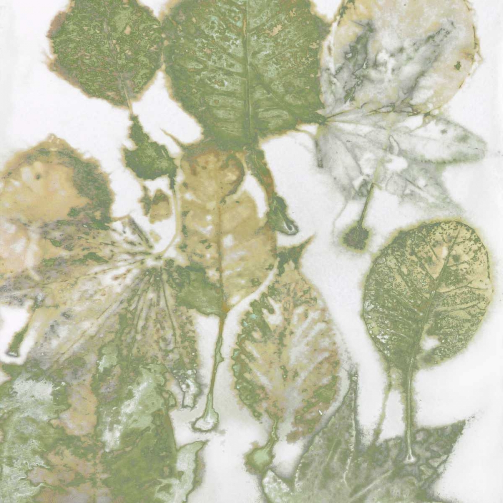 Nature I art print by Danielle Carson for $57.95 CAD