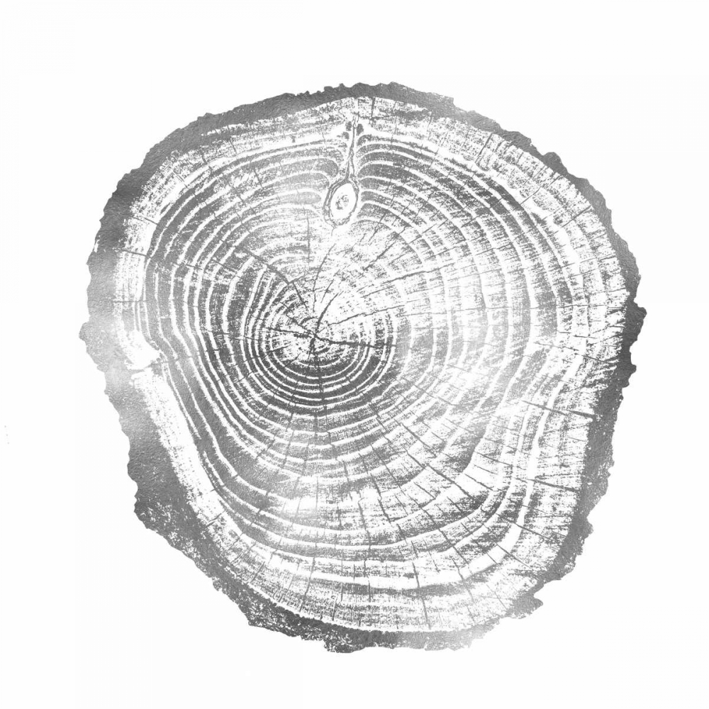 Timber Silver III art print by Danielle Carson for $57.95 CAD