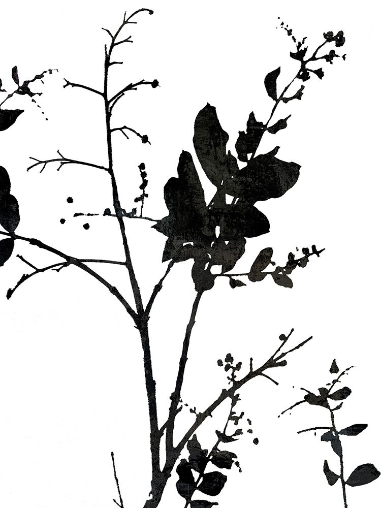 Nature Silhouette II art print by Danielle Carson for $57.95 CAD