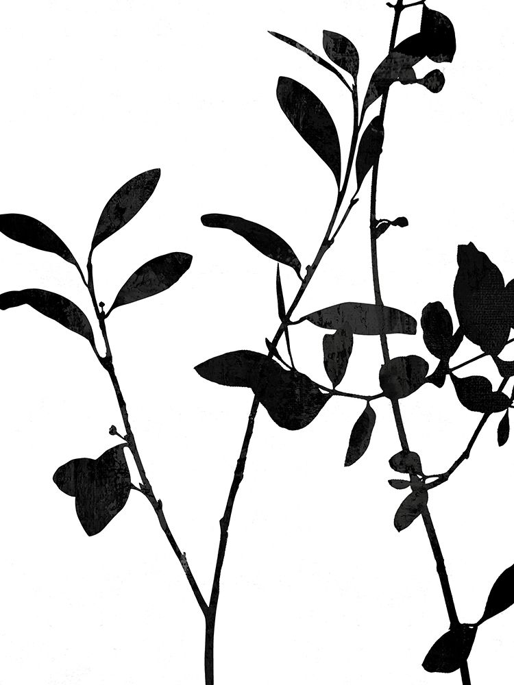 Nature Silhouette III art print by Danielle Carson for $57.95 CAD