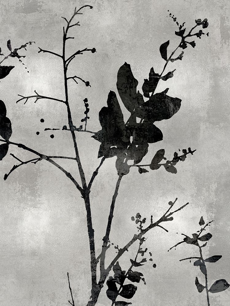 Nature Silhouette Silver II art print by Danielle Carson for $57.95 CAD
