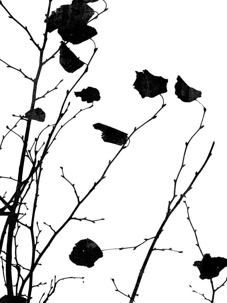 Nature Silhouette V art print by Danielle Carson for $57.95 CAD