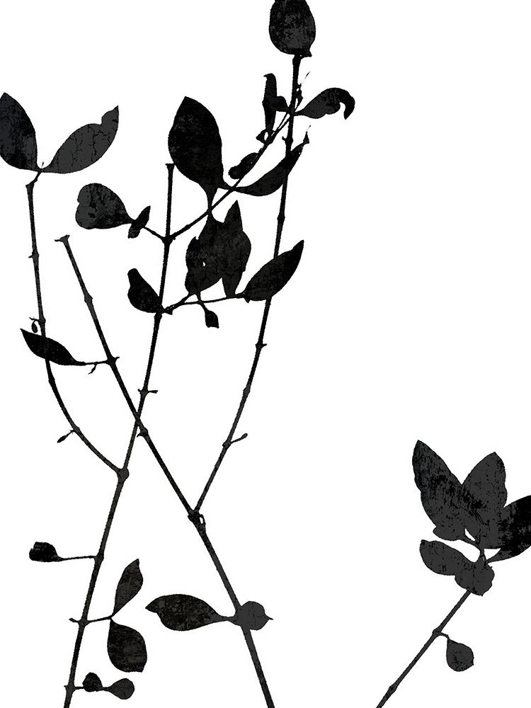 Nature Silhouette VI art print by Danielle Carson for $57.95 CAD