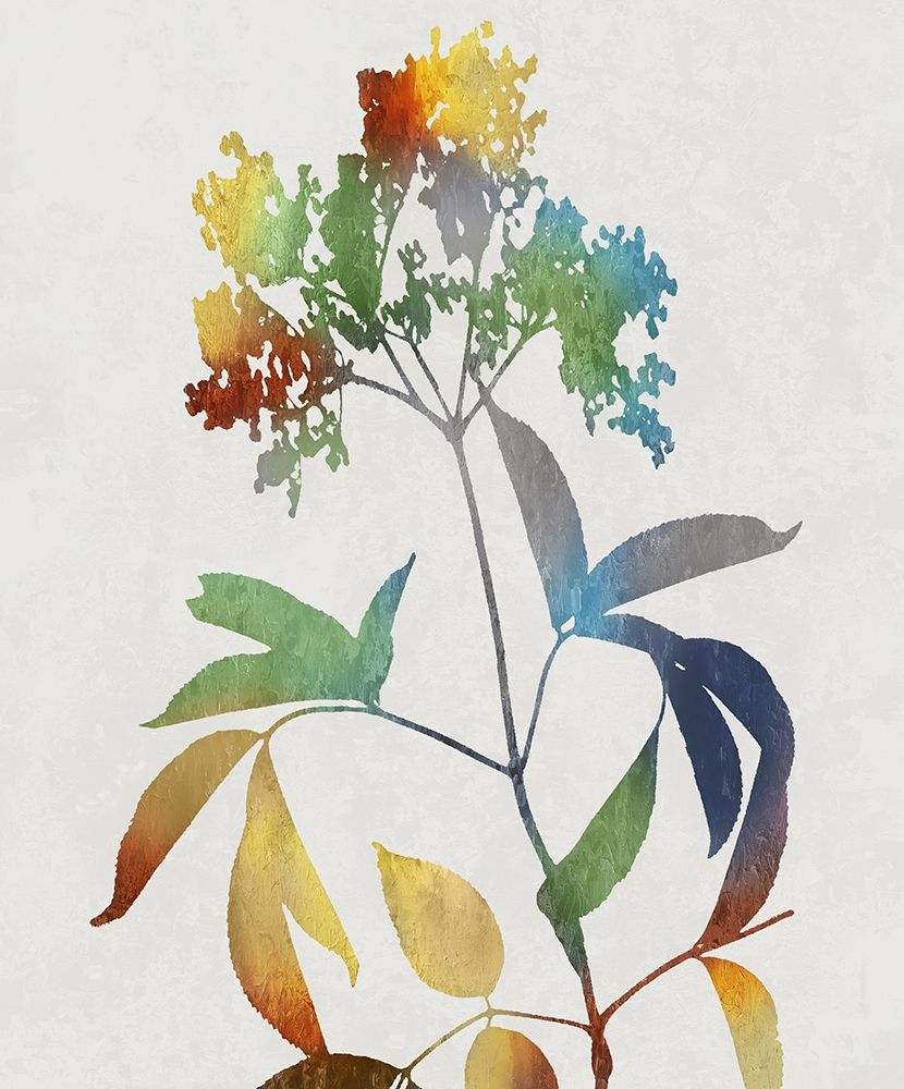 Colorful Nature V art print by Danielle Carson for $57.95 CAD
