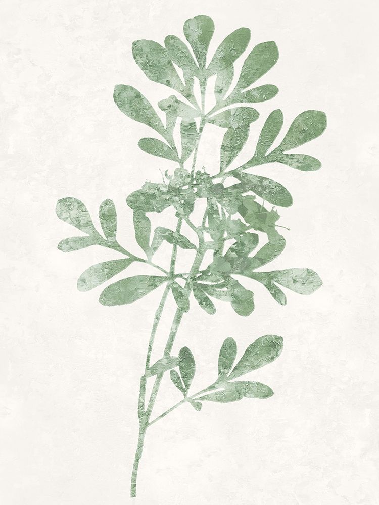 Nature Green II art print by Danielle Carson for $57.95 CAD