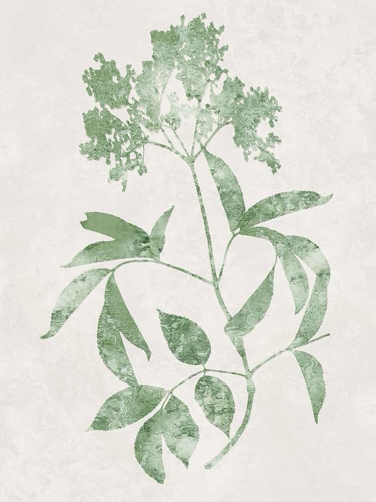 Nature Green V art print by Danielle Carson for $57.95 CAD