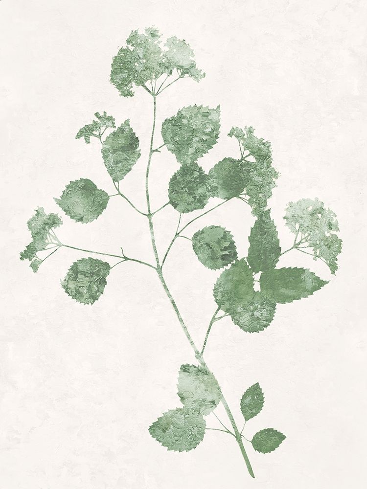 Nature Green VI art print by Danielle Carson for $57.95 CAD