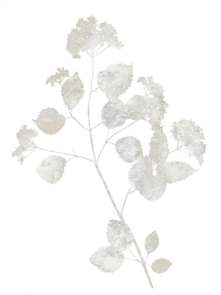 Natural Nature VI art print by Danielle Carson for $57.95 CAD