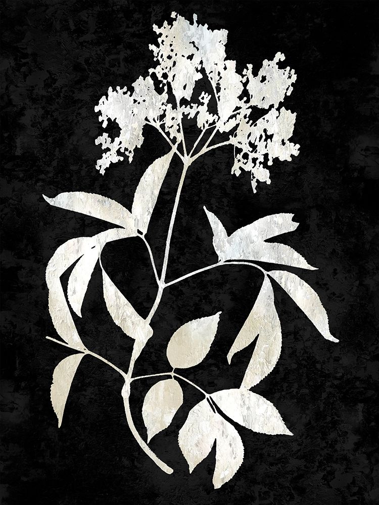 Nature White on Black V art print by Danielle Carson for $57.95 CAD