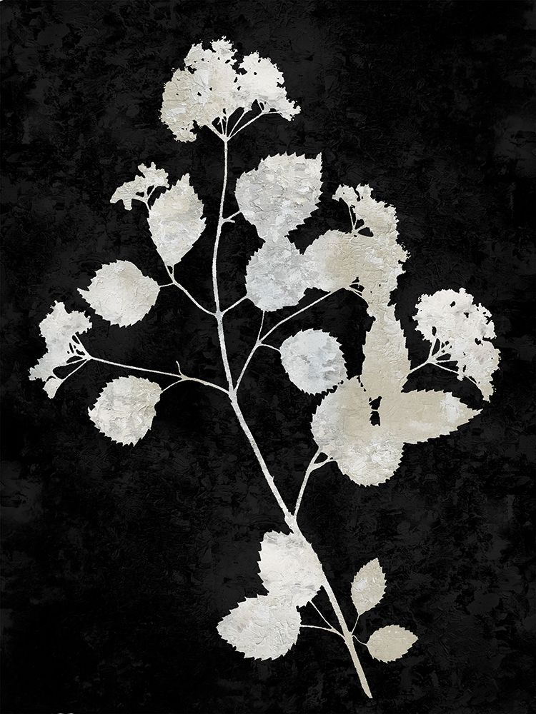 Nature White on Black VI art print by Danielle Carson for $57.95 CAD