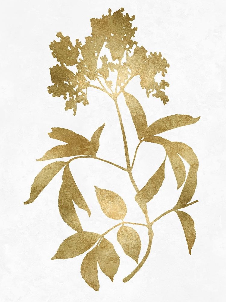 Nature Gold on White V art print by Danielle Carson for $57.95 CAD