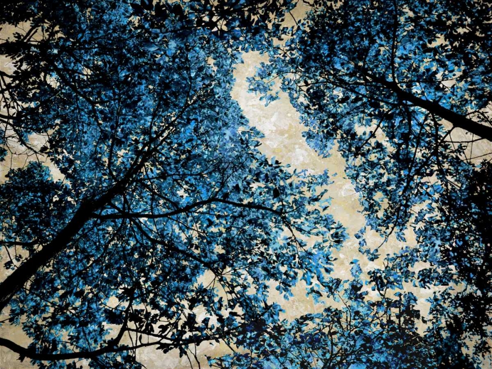 Blue Forest II art print by Derek Scott for $57.95 CAD