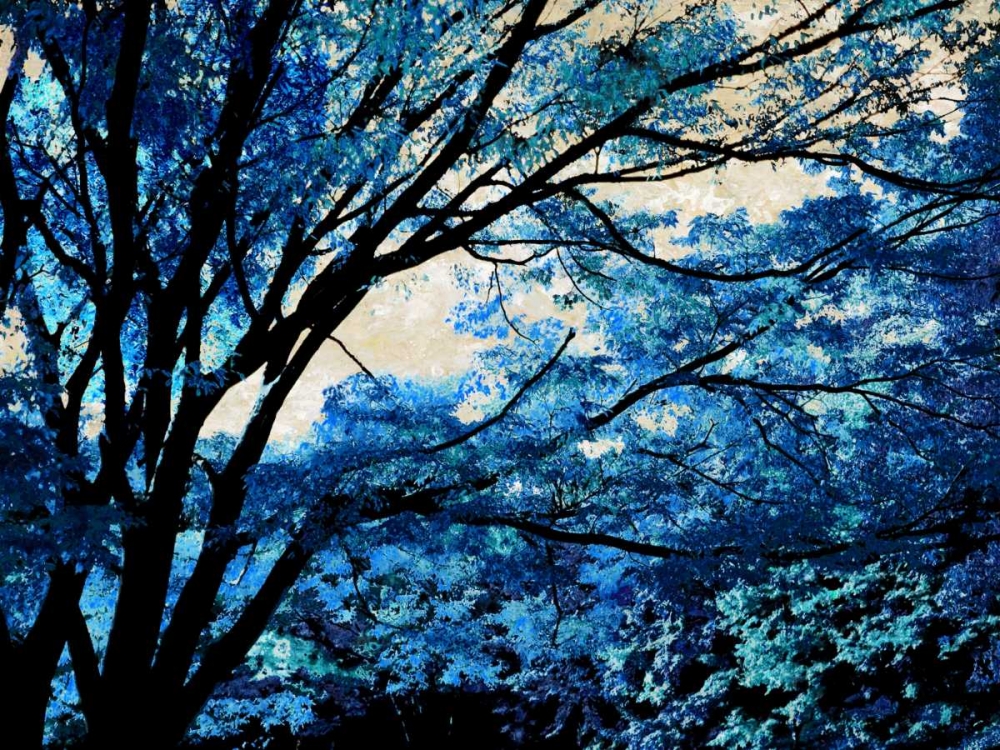 Blue Forest III art print by Derek Scott for $57.95 CAD