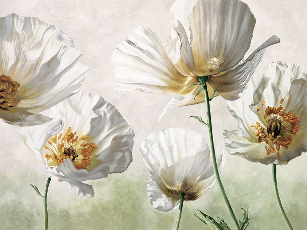 Raggi di sole art print by Eva Barberini for $57.95 CAD
