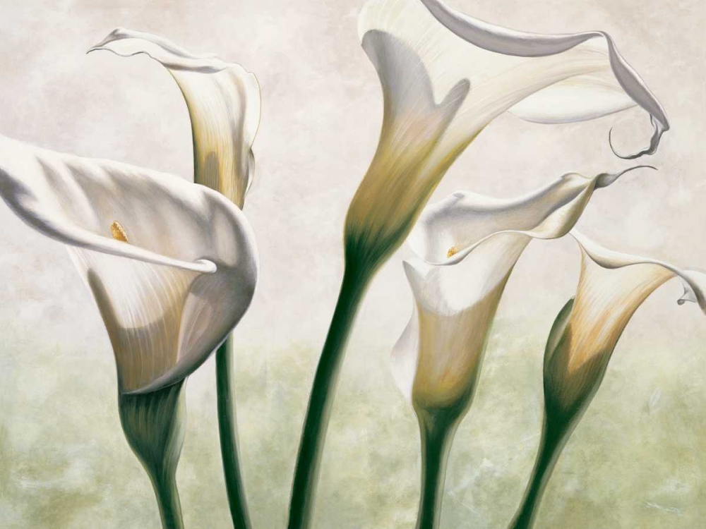 Luce art print by Eva Barberini for $57.95 CAD