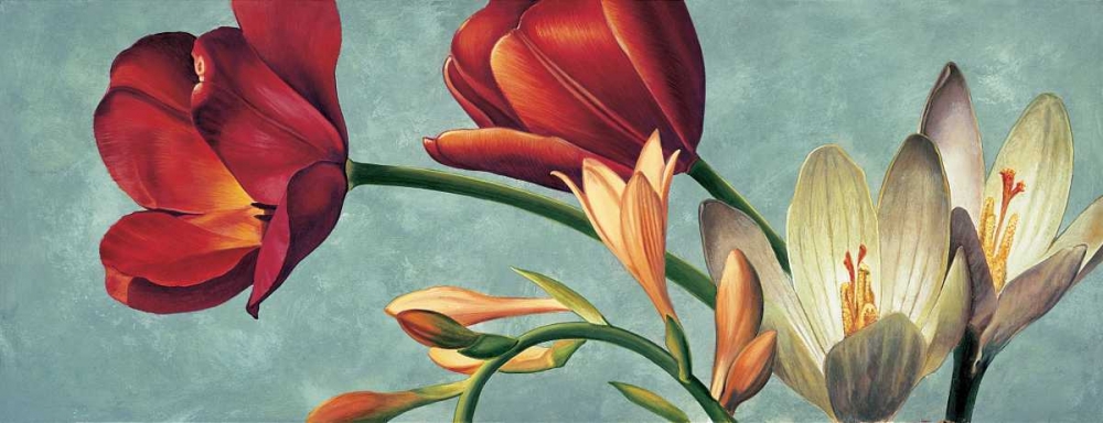 Luce e colore I art print by Eva Barberini for $57.95 CAD