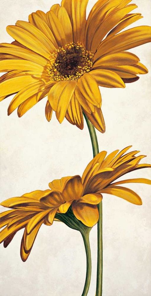 Armonie in giallo art print by Eva Barberini for $57.95 CAD
