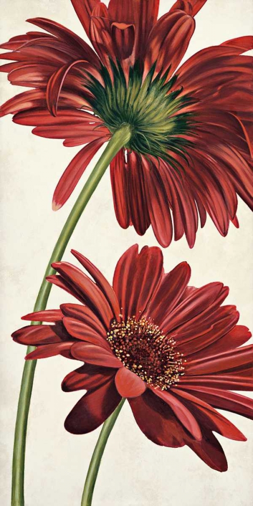Armonie in rosso art print by Eva Barberini for $57.95 CAD
