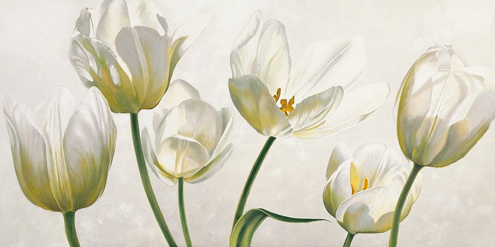 Soffio di luce art print by Eva Barberini for $57.95 CAD