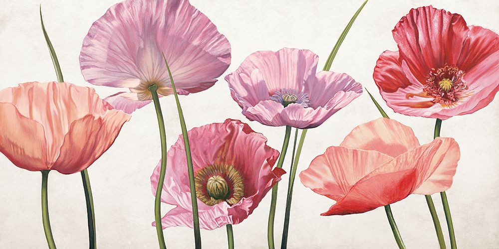 Carezza di luce art print by Eva Barberini for $57.95 CAD
