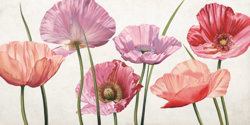 Carezza di luce art print by Eva Barberini for $57.95 CAD