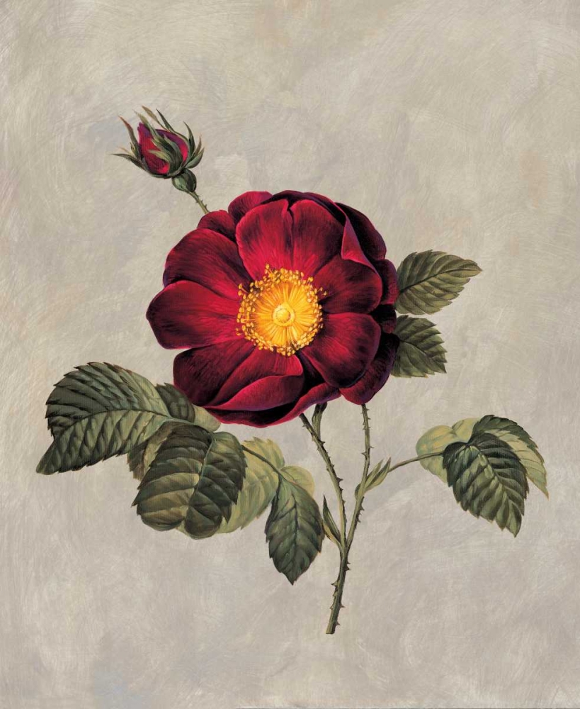 Timeless I art print by E. Lopez for $57.95 CAD