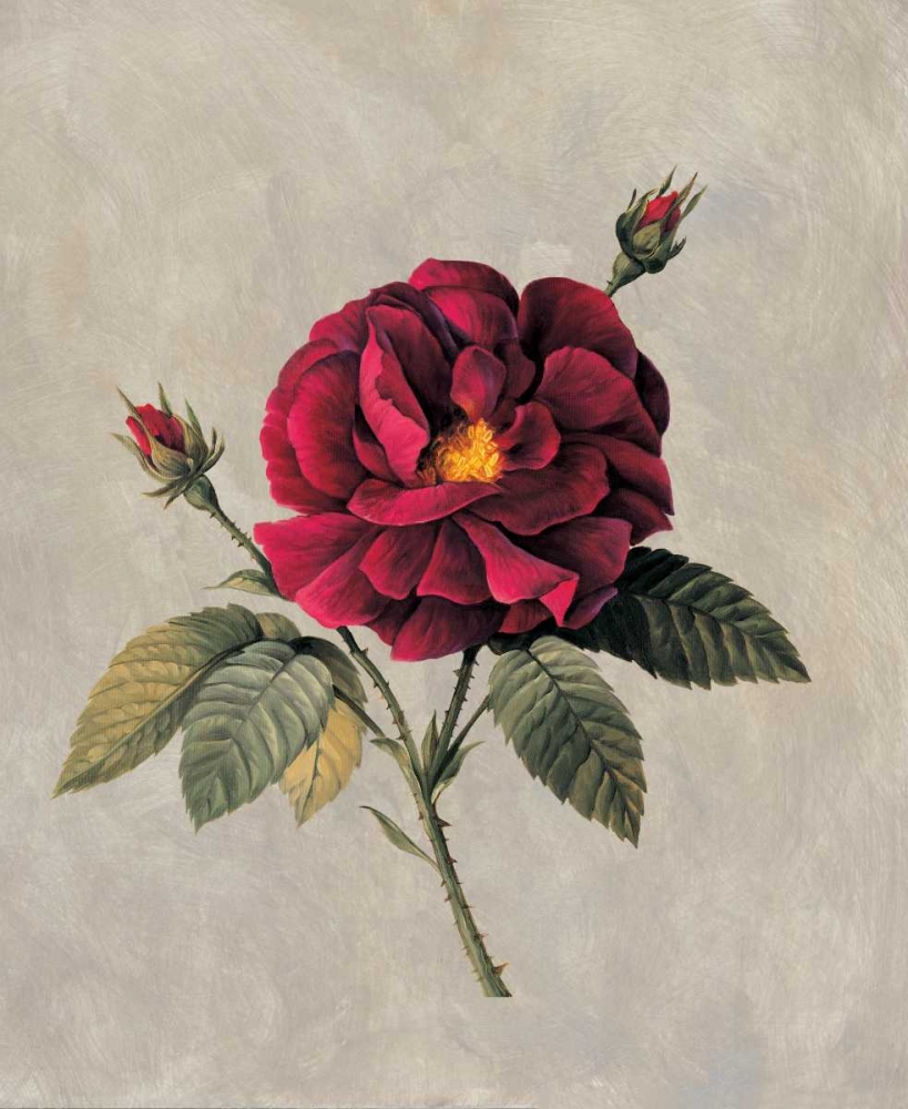 Timeless II art print by E. Lopez for $57.95 CAD