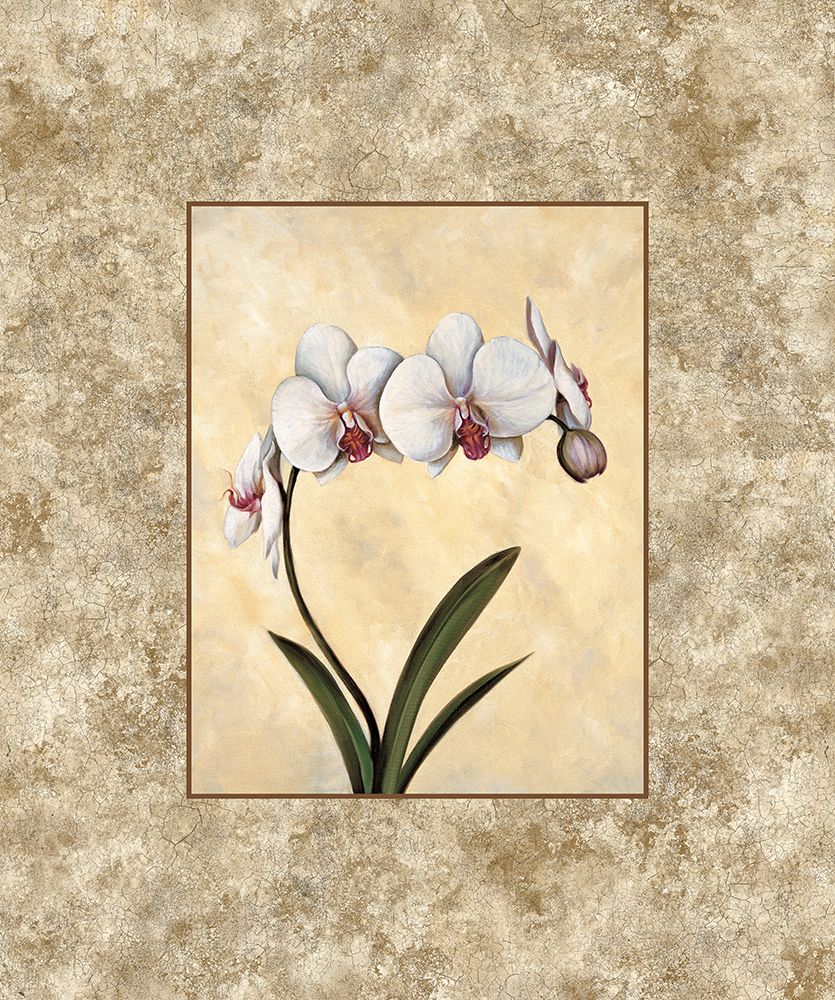 Perfection I art print by E. Lopez for $57.95 CAD