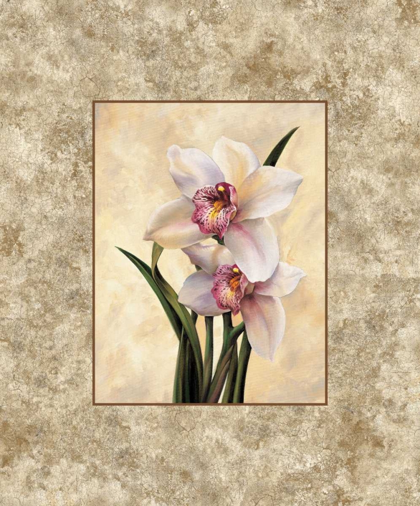 Perfection II art print by E. Lopez for $57.95 CAD